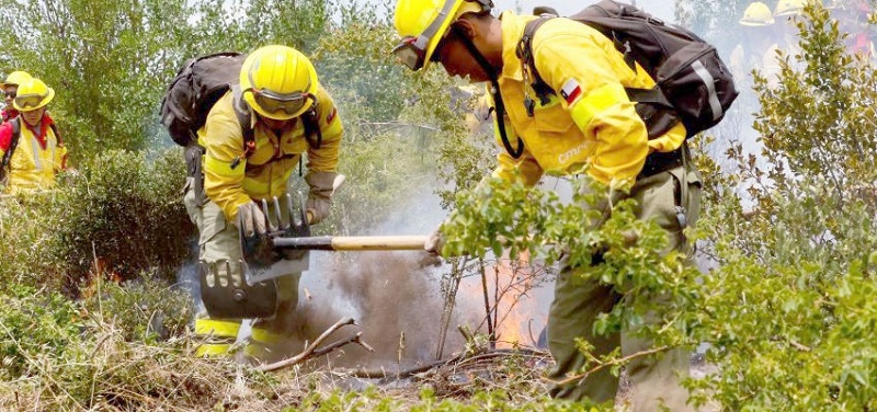Conmemoraron Día Nacional de Brigadista Forestal