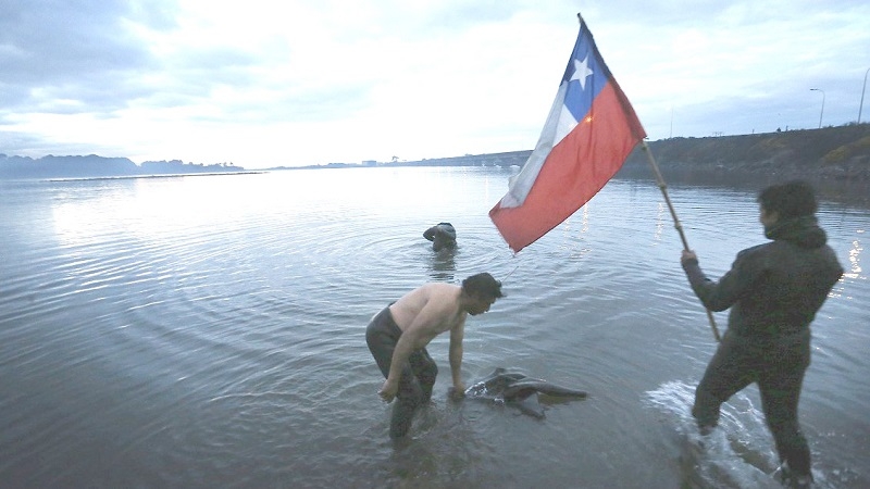 Latam deja de volar a Chiloé el 1 de agosto: Parlamentarios acusan "golpe bajo"