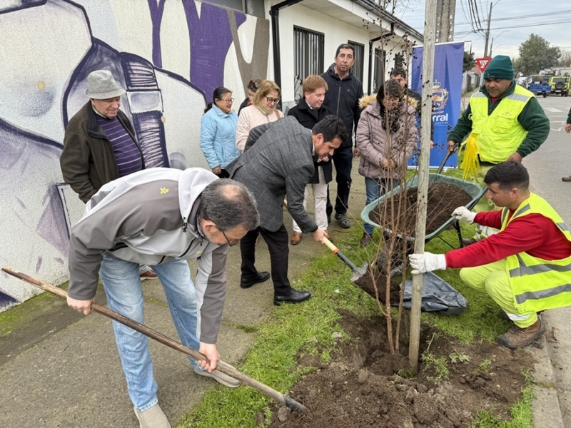 Lanzan sello “Parral Ciudad Bosque” con la plantación de  300 árboles