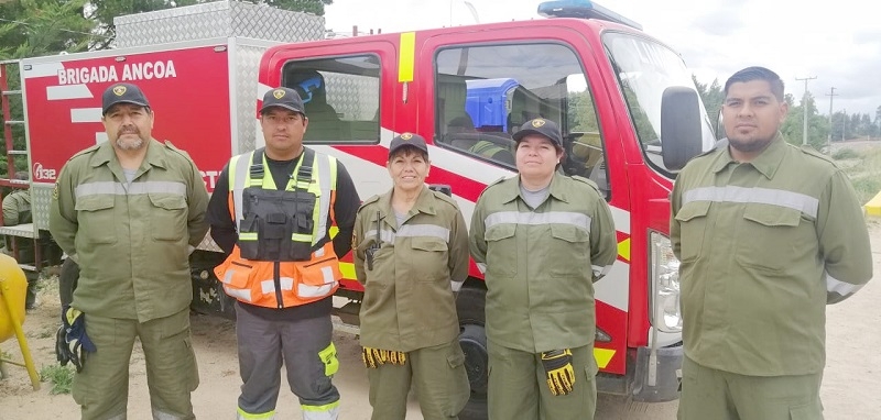 Linares: Llaman a fortalecer seguridad en precordillera