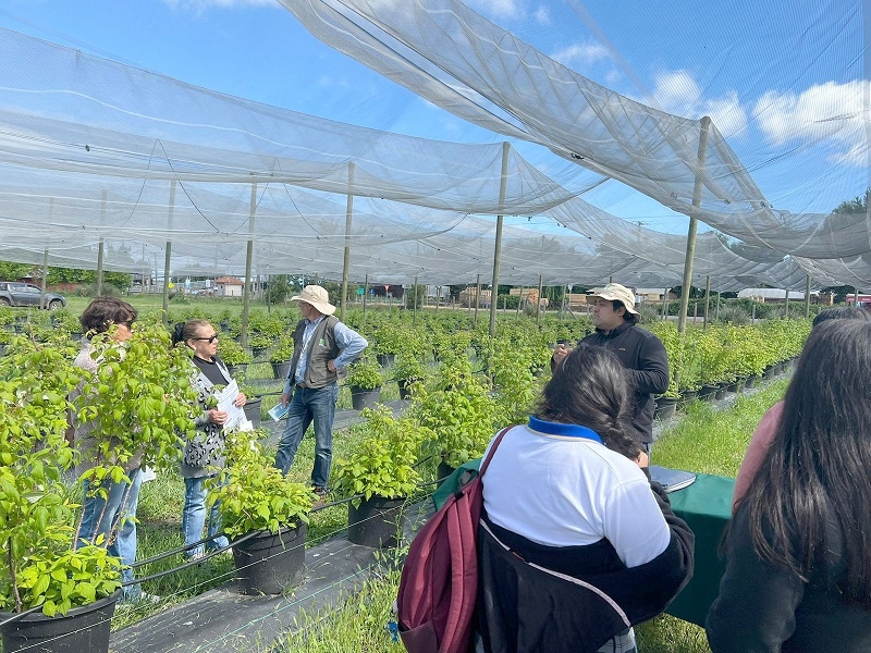INIA Raihuén celebra exitoso Día de Campo sobre Herramientas Tecnológicas para el Manejo de Huertos de Berries