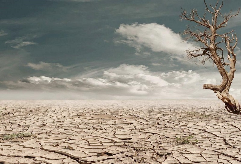  Día Mundial de la Sequía: ¿Son las aguas residuales una opción?