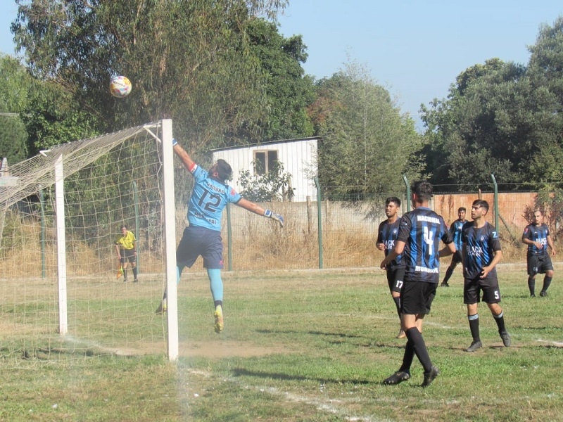 Fue promulgada en el Diario Oficial   El primer domingo del mes de diciembre de cada año será el Dia Nacional del Futbolista y la Futbolista Amateur en Chile 