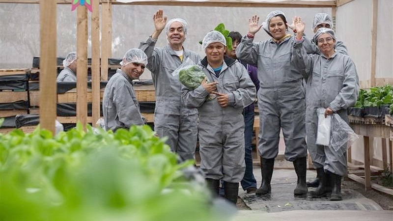 Este martes cierran postulaciones a fondo para proyectos de inclusión