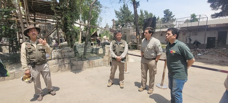 En Buin Zoo: Equipos SAG se capacitan en manejo sanitario y anestésico de ejemplares de fauna protegida