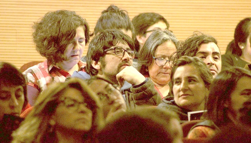 Linares: Festival de Cine Felina abre convocatoria para su décima edición y anuncia fechas oficiales