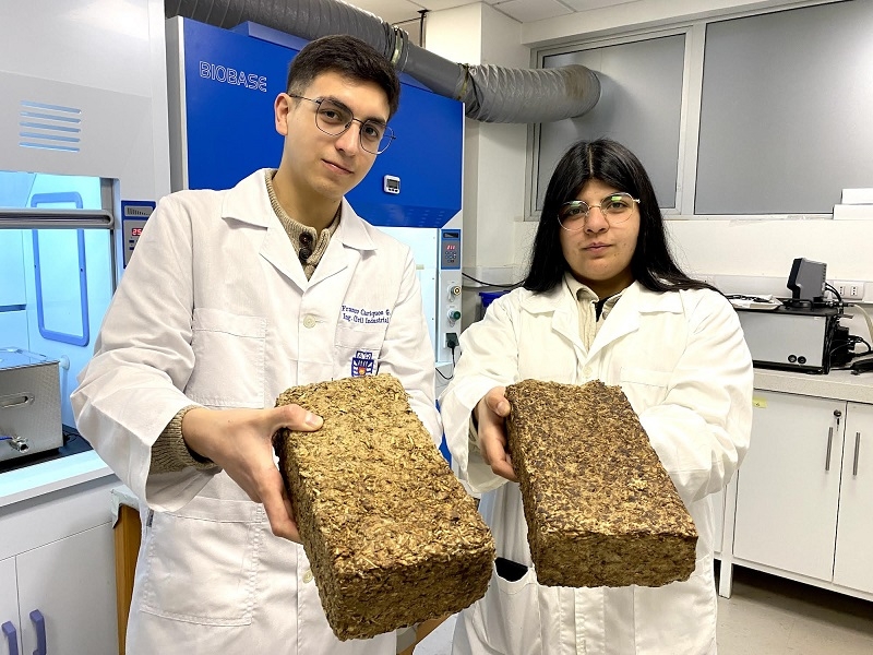 Estudiantes de ingeniería crean leña ecológica que contamina un 99% menos