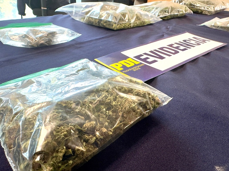En Longaví PDF detuvo a 4 imputados por comercialización de droga