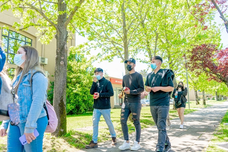 Universidad de Talca retomó movilidad Internacional 