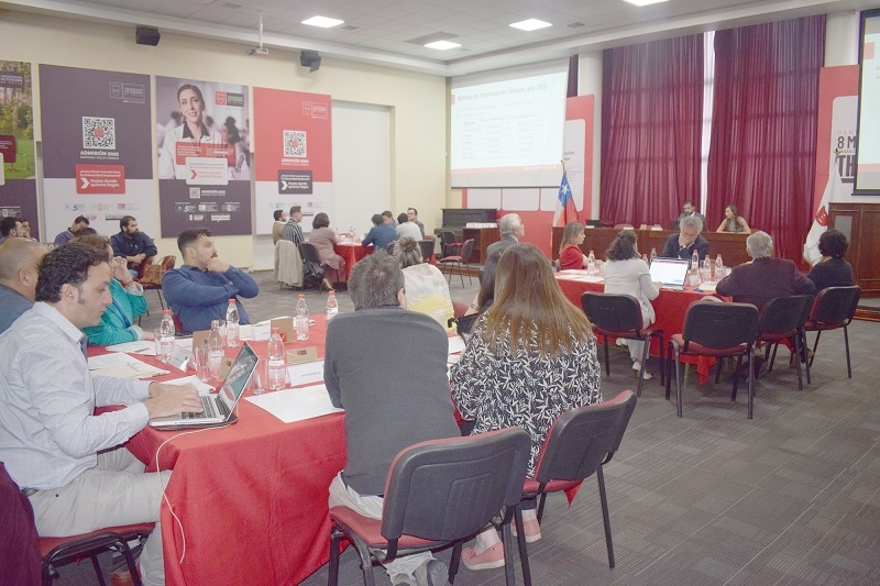 U. Autónoma trabajó con actores públicos y privados en visualizar iniciativas que beneficien al Maule