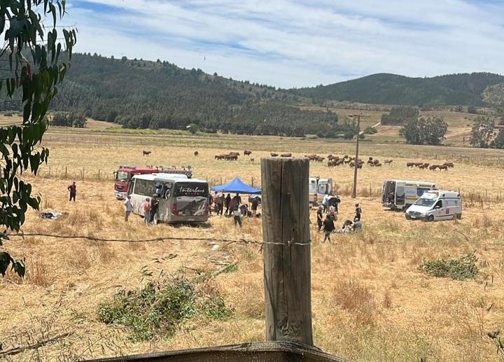 Siete lesionados : Bus con estudiantes del Colegio Providencia de Linares se volcó en sector Boyeruca, comuna de Vichuquén