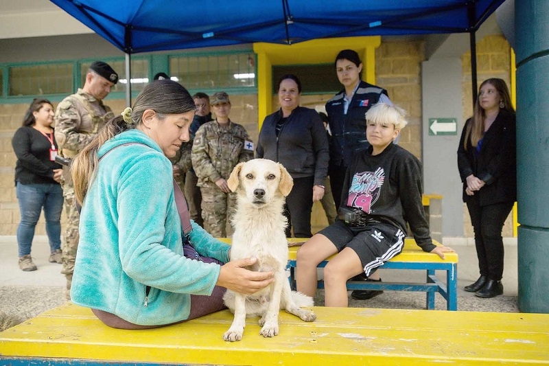Subdere entrega recursos al municipio de Quilpué para realizar atención veterinaria a animales afectados por los incendios