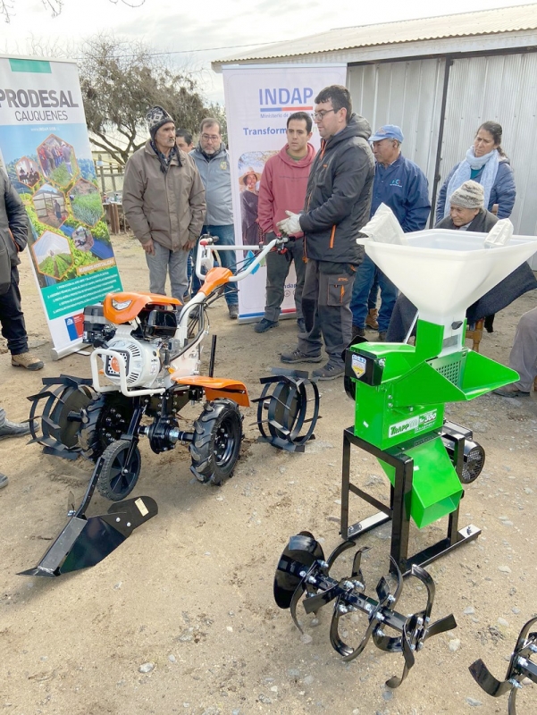 Director de INDAP conoció en terreno utilidad de maquinaria agrícola adquirida por usuarios de prodesal de Pelluhue y Cauquenes
