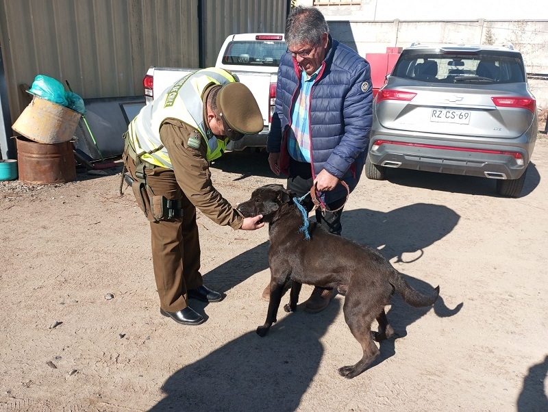 San Javier: Carabineros recuperó a perro extraviado