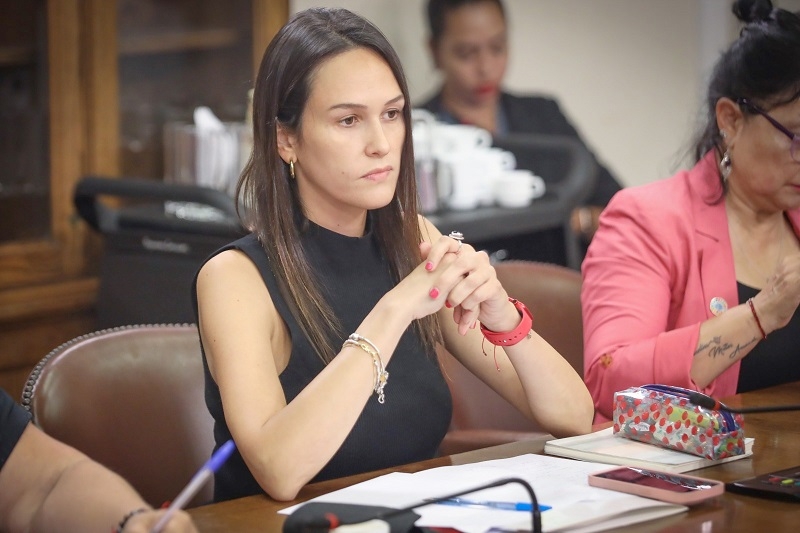 Diputada Labra (Ind-RN) solicita la creación de un segundo Servicio de Salud para la Región del Maule