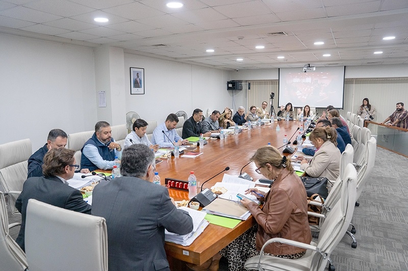 Consejo Regional aprobó aumento de recursos para proyectos de caminos básicos en Rauco, Hualañé y Retiro