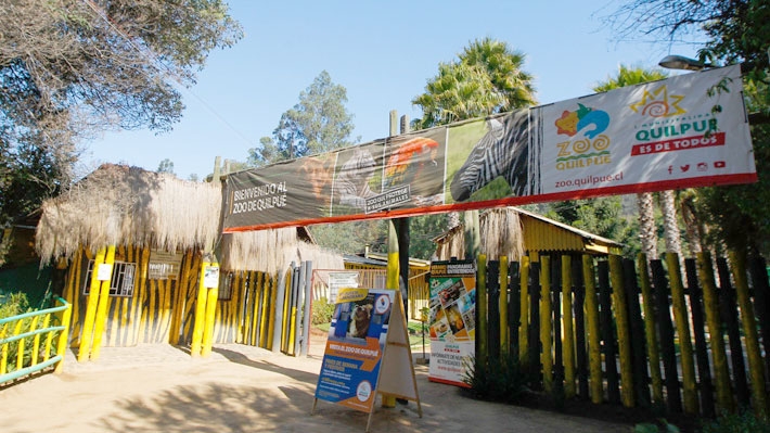 Fallecieron ciervos y pavos reales: Ataque de perros deja 22 animales muertos en zoológico de Quilpué