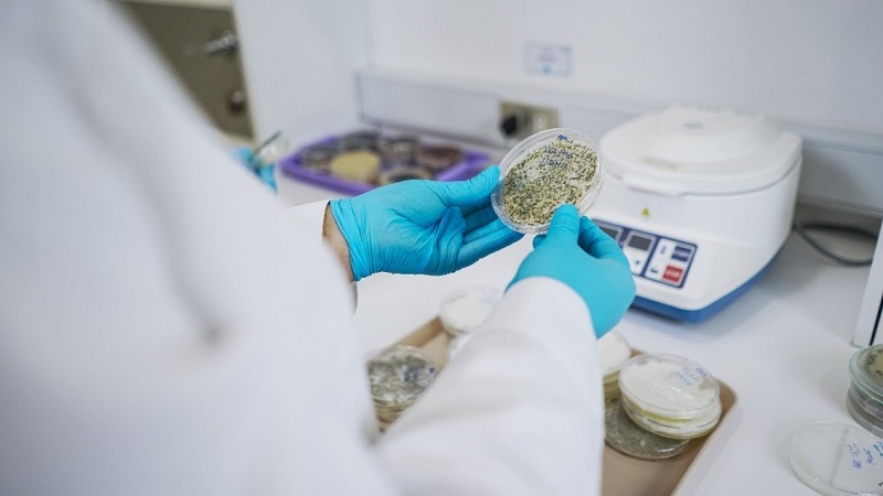 Ministra de Ciencias financiará proyectos para desarrollo agroalimentario sostenible