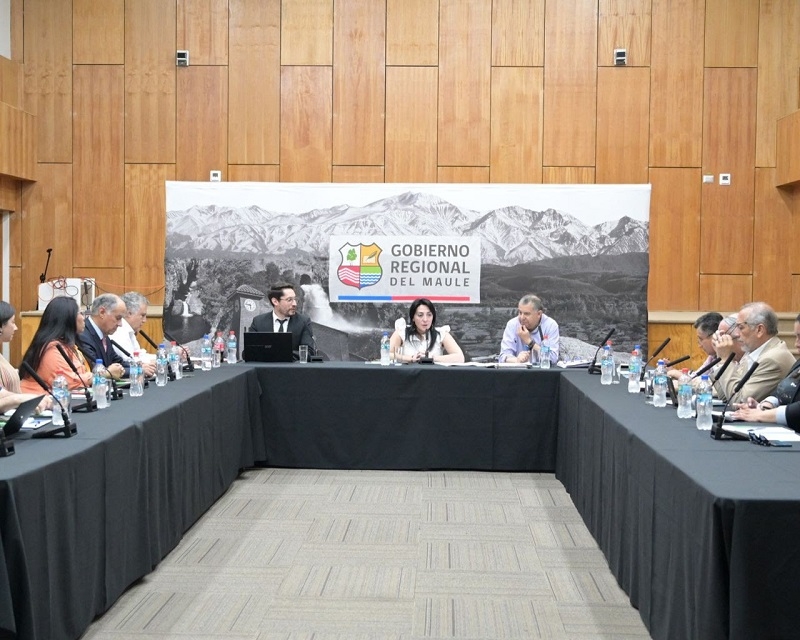 Académico UTalca fue electo para presidir el Consejo de la Sociedad Civil del Maule