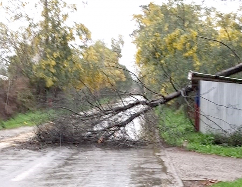 Alerta Temprana Preventiva para la región del Maule por lluvias y frío