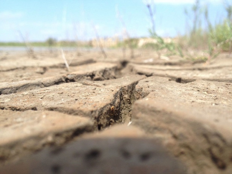 Investigación profundizará en cómo responden los mercados  ante el riesgo financiero motivado por el cambio climático 