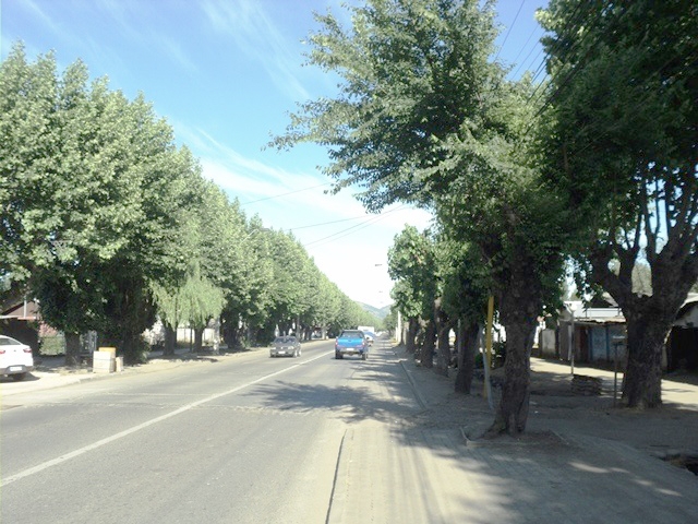 Consejo Regional  aprobó estudio de prefactibilidad para ensanchamiento de calle Balmaceda en San Javier