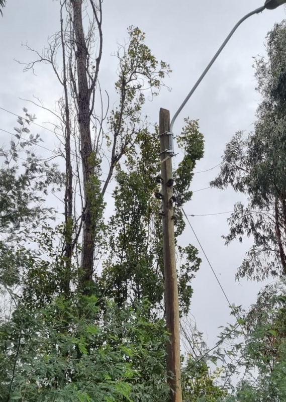 En camino a Panimávida: Vecinos del callejón Latorre reclaman por ramas a la orilla del camino, lo que ocasionó corte de luz